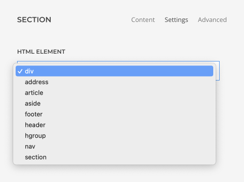 Section HTML element option