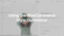WooCommerce Style Customizer Documentation Video for WordPress