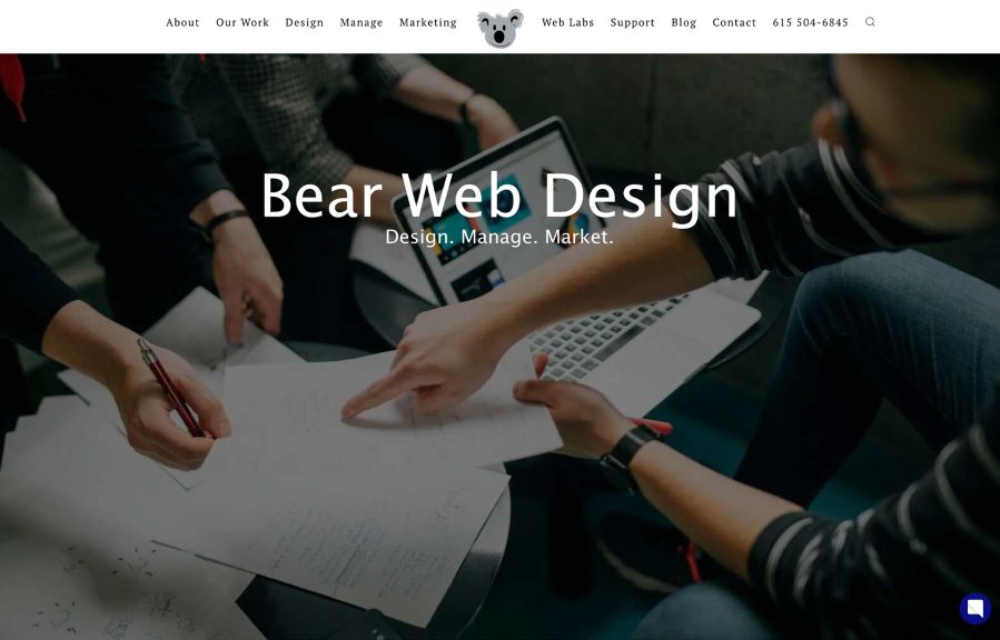 Bear Web Design Work Example