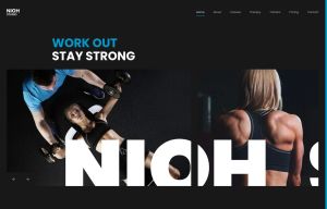 Nioh Studio Black-Blue Style