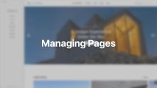 Pages Documentation Video for WordPress