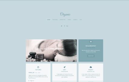 Organic Joomla Template Lightblue Style