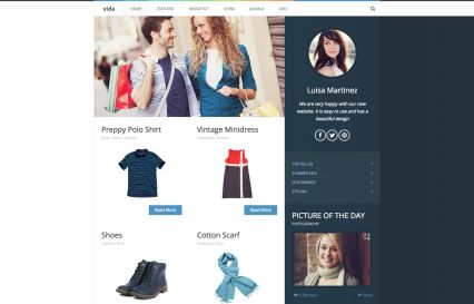 Vida WordPress Theme Blue Style