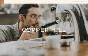 Copper Hill Light-Beige Style