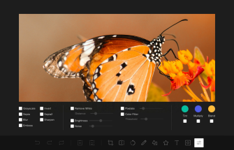 Molotov Image Editor
