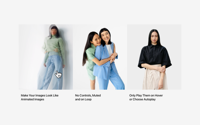 Videos as animated images