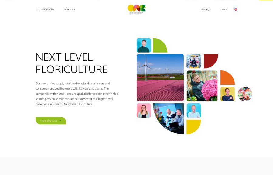 Vandeez Work Example