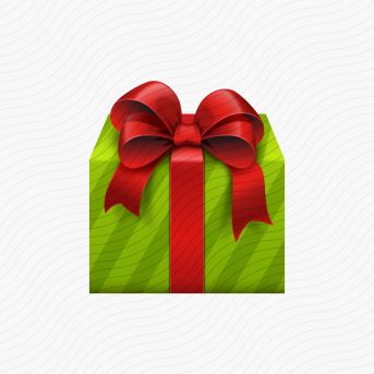 Gift Green Red Icon