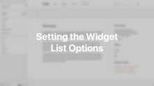 Widget List Options Documentation Video for WordPress