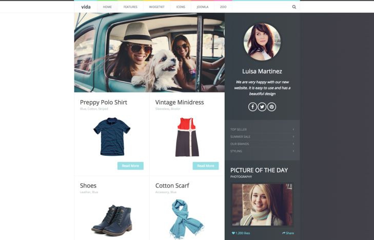 Vida WordPress Theme