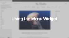 Menu Widget Documentation Video for WordPress