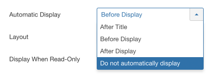 Excerpt automatic display option