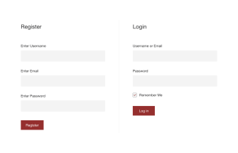 Login & Register Element