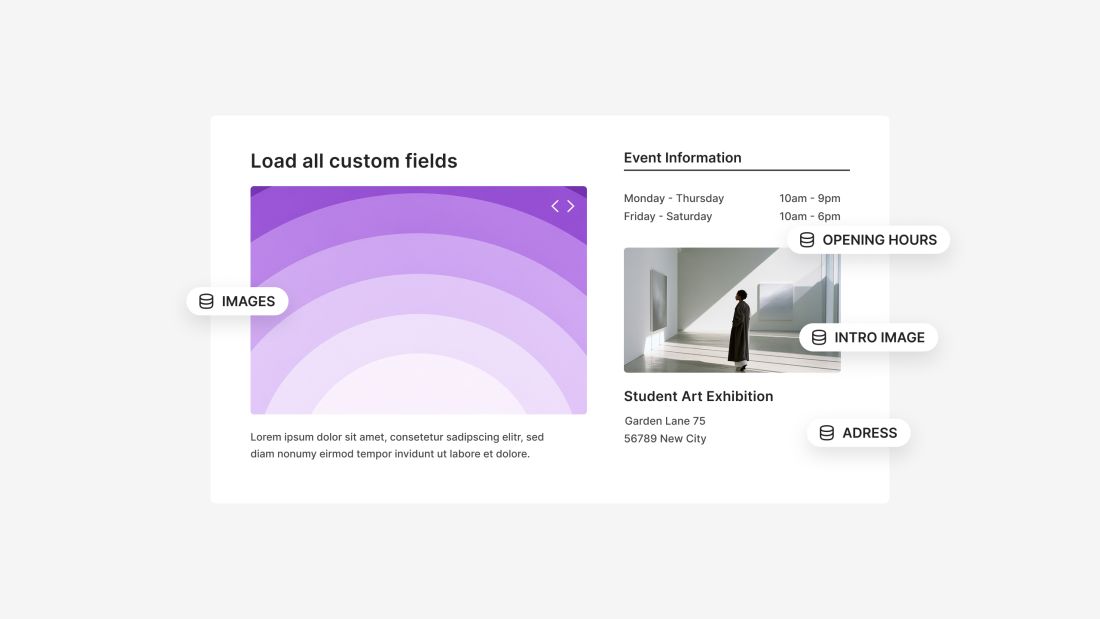 Custom Fields