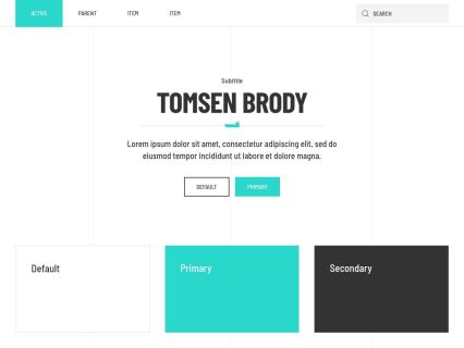 Tomsen Brody WordPress Theme White Turquoise Style