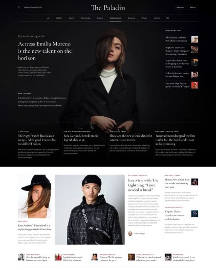 Paladin WordPress theme Entertainment Layout