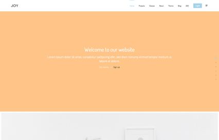 Joy WordPress Theme Spectrum Style