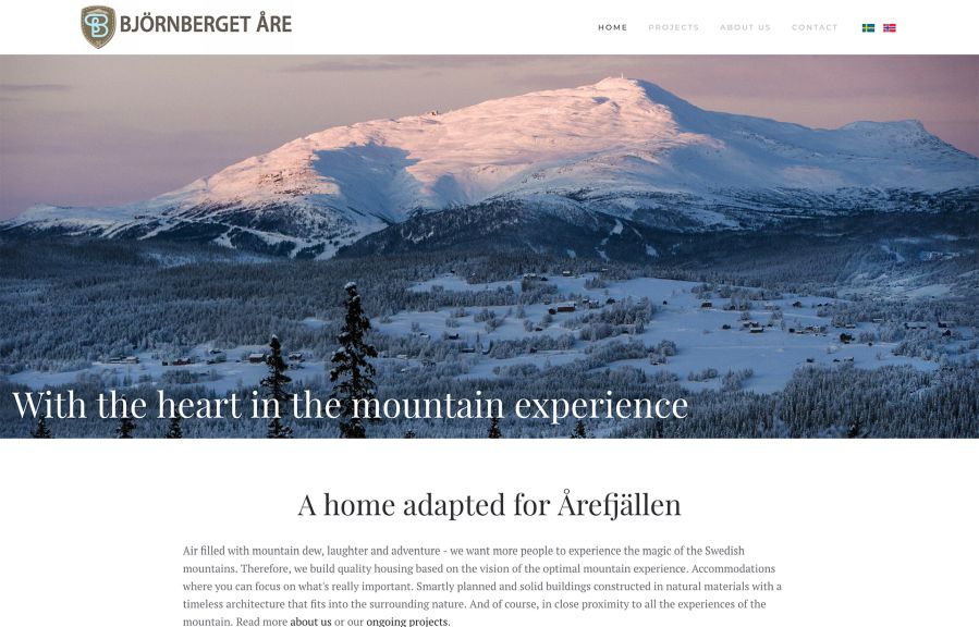 Björs IT konsult Work Example