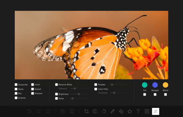 Molotov Image Editor for YOOtheme Pro page builder