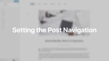 Post Navigation Documentation Video for WordPress