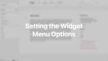 Widget Menu Options Documentation Video for WordPress