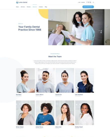 Union Dental WordPress theme About Layout