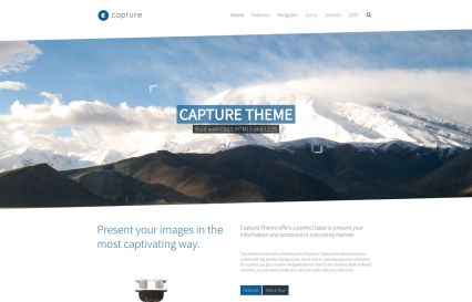Capture WordPress Theme Default Style