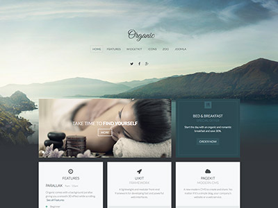 Organic Theme