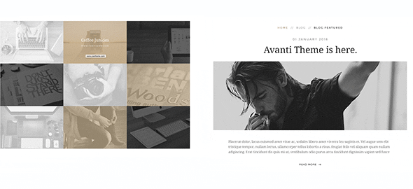 Avanti Additions