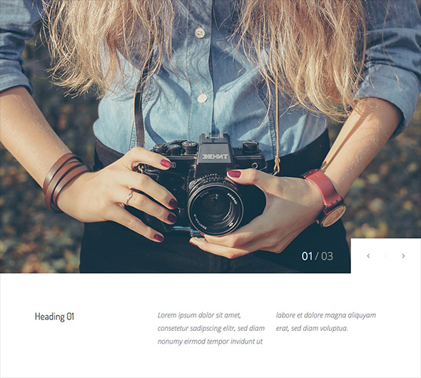 Joy Custom Widgets