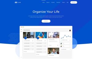 Flow White-Darkblue Style