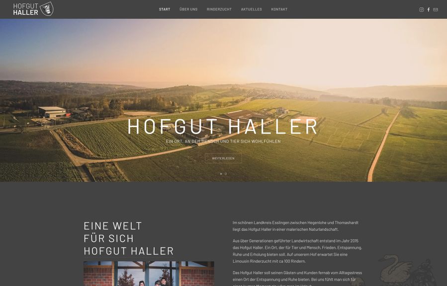 Logowerbung Reinmüller + Pribosic Work Example