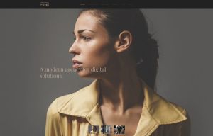 Fuse Dark-Brown Style