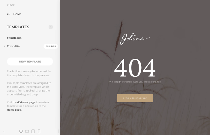 Template support for the 404 error page