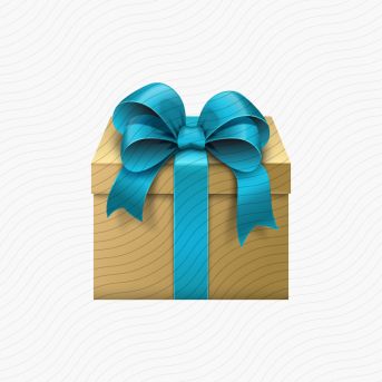 Gift Cardboard Blue Icon