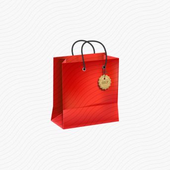 Shopping Bag Red Icon