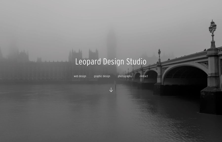 Leopard Design Studio Work Example